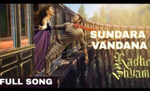 Neeli Kannula Song Download