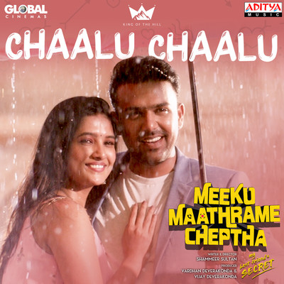 Chaalu Chaalu Song Download