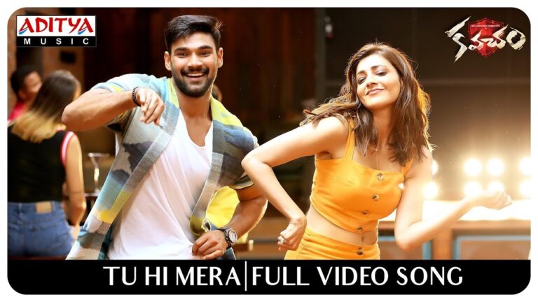 Tu Hi Mera Song Download