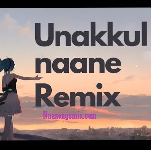 Unakkul Naane Remix